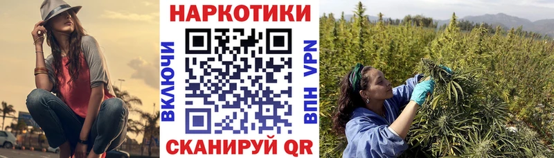 Наркотические вещества Вытегра NBOMe  ГАШ  APVP 