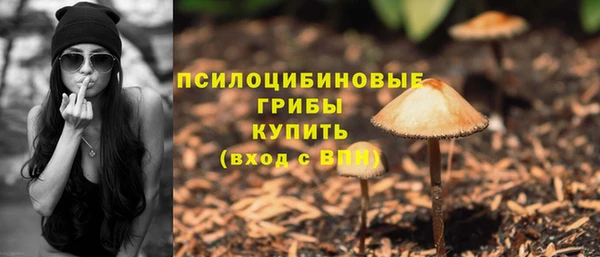 тгк Волосово