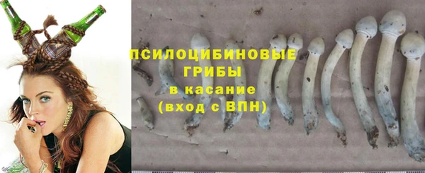 тгк Волосово