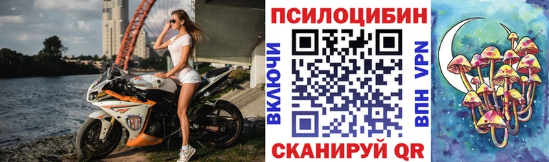 Псилоцибиновые грибы Psilocybe  даркнет сайт  Вытегра 